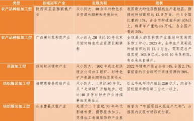 县域冠军产业是怎样炼成的？